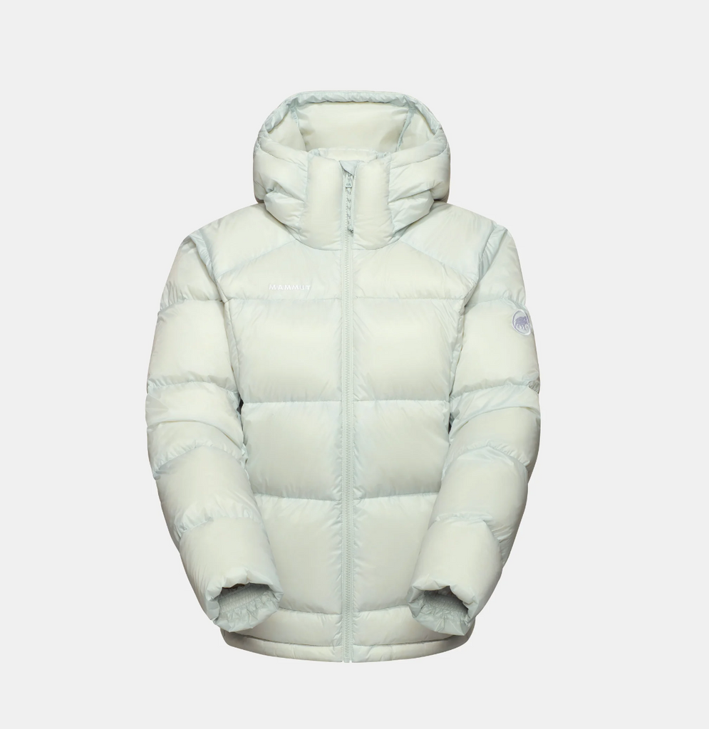 Glacier Glow IN Hooded Jacket AF Women - Silver sage