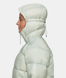 Glacier Glow IN Hooded Jacket AF Women - Silver sage