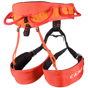 Jasper CR 4  安全帶