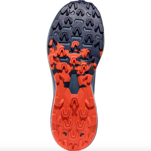 Prodigio (Tropic Blue/Cherry Tomato)