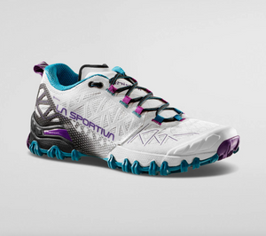 Bushido II GTX Women's (Light Grey/Blueberry)