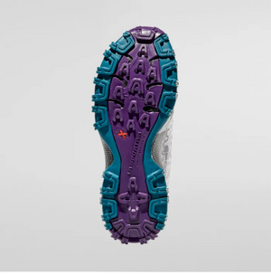 Bushido II GTX Women's (Light Grey/Blueberry)