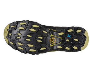 Ultra Raptor II Leather Mid GTX (Black/Cedar)