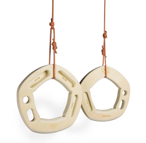 Penta EVO (Portable training gear)