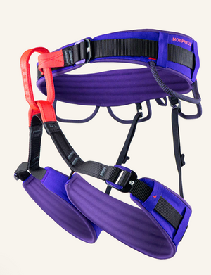 Morpheus harness - Purple