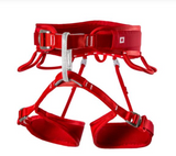 Twist Sport climbing harness (2026) - Red