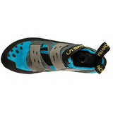 Tarantula (Blue)