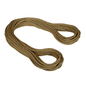 9.9 gym Workhorse Classic Rope 40m