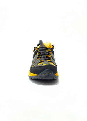 澗王之王 (Yellow)