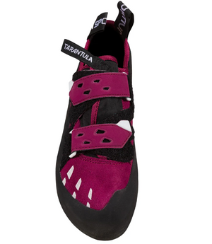 Tarantula Women's (Red plum)
