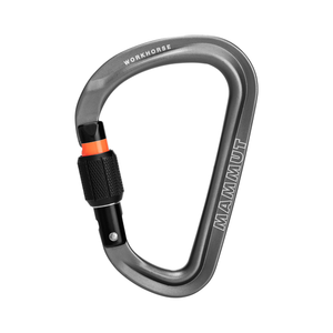 Workhorse HMS Screw Gate Carabiner