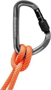 Workhorse HMS Screw Gate Carabiner